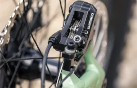 FOCUS_MY27_THRON-8_H4A4838