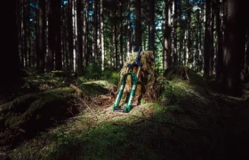Una horquilla FOX 38 Racing Green descansa contra un tocón de árbol en un bosque iluminado por el sol, rodeada de árboles altos y suelo cubierto de musgo.