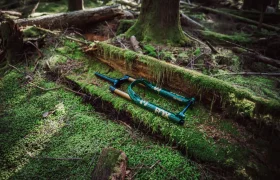 Fox Racing Green Fork (14)
