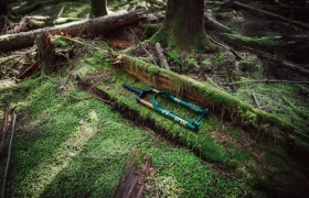 Una horquilla de bicicleta FOX 38 Racing Green descansa sobre un suelo cubierto de musgo en un bosque denso e iluminado por el sol, rodeada de árboles y troncos caídos.