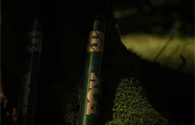 Primer plano de una horquilla de suspensión FOX 38 Racing Green con logotipo, parcialmente en la sombra, apoyada en el tronco de un árbol cubierto de musgo.