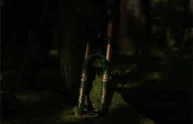 Una horquilla de suspensión de bicicleta de montaña FOX 38 Racing Green Edición Limitada está apoyada contra un árbol musgoso en un bosque poco iluminado.