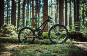 Fox Racing Green Fork (40)