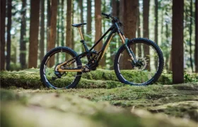 Una bicicleta de montaña de suspensión total con una horquilla FOX 38 Racing Green se alza sobre un terreno musgoso en un bosque denso con árboles altos y rectos.