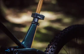 Fox Racing Green Fork (42)