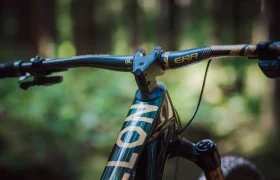 Primer plano del manillar y el cuadro de una bicicleta de montaña en un entorno forestal, con la horquilla delantera FOX 38 Racing Green Edición Limitada, cables visibles y la marca "GLORY" en el tubo superior.