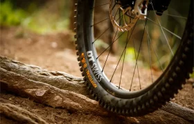 Un primer plano de una cubierta de bicicleta de montaña con las marcas «DT SWISS», «HYDROTAL» y «Continental» en un sendero de tierra rocoso, en el que se aprecia parte del disco de freno, lo que refleja a la perfección el espíritu robusto de las cubiertas para MTB diseñadas para las aventuras de Gravity.