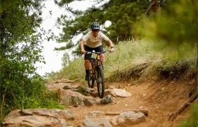 Una persona que lleva casco y gafas de sol recorre en bicicleta de montaña, equipada con cubiertas MTB Continental, un sendero de tierra rocoso rodeado de árboles y hierba, sorteando con seguridad el terreno gracias al agarre avanzado de los neumáticos de la gama Gravity.
