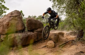 Un ciclista de montaña, con casco y gafas de sol, pedalea sobre las rocas por un sendero de tierra que atraviesa una zona boscosa.