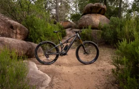 Una bicicleta de montaña negra se encuentra en un camino de tierra, rodeada de rocas, arbustos y árboles, en una zona boscosa.