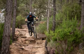 Una persona que lleva casco baja en bicicleta de montaña por un sendero rocoso que atraviesa una zona boscosa con pinos y matorrales.