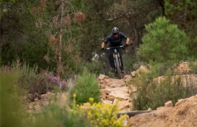 Una persona que lleva casco y equipación de ciclismo recorre en bicicleta de montaña un sendero rocoso rodeado de árboles verdes y flores silvestres.
