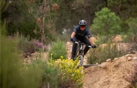 Una persona que lleva casco y gafas de sol baja en bicicleta de montaña por un sendero rocoso rodeado de árboles y arbustos.