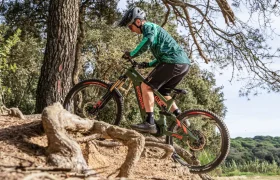 Una persona vestida de ciclista maniobra con destreza una bicicleta de montaña Polini E-P3+ MX sobre raíces de árboles en un encantador sendero forestal italiano.
