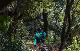 Un ciclista de montaña recorre un sendero de tierra a través de un bosque denso, rodeado de árboles y vegetación, impulsado por el motor Polini E-P3+, un verdadero testimonio de la potencia italiana.