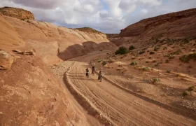 MSO_BMC_SLATER_ROAD_2738