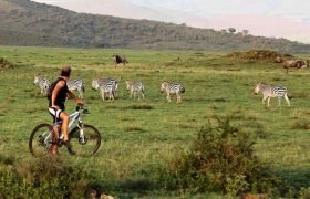 NGORONGORO MOUNTAIN BIKE SAFARI
