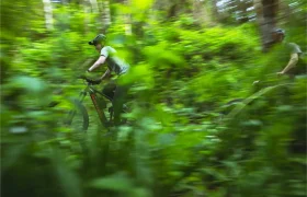 Dos personas montan en bicicletas de montaña Santa Cruz Vala AL a través de un frondoso y verde bosque. La imagen está ligeramente difuminada, lo que resalta la velocidad y agilidad de estos duraderos cuadros de aluminio entre el denso follaje.