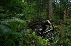 Una persona con casco monta en una bicicleta de montaña Santa Cruz Vala AL, fabricada en aluminio resistente, por un estrecho sendero de tierra a través de un bosque denso y verde.