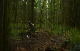 Una persona con casco monta en una bicicleta de montaña Santa Cruz Vala AL, fabricada en aluminio, por un sendero de tierra a través de un bosque denso y verde con árboles altos y helechos.