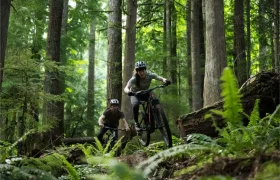Dos personas con casco montan en bicicletas de montaña Santa Cruz Vala AL, fabricadas en aluminio resistente, por un escarpado sendero forestal rodeado de altos árboles y frondoso follaje verde.