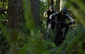 Dos ciclistas con casco montan en bicicletas de montaña Santa Cruz Vala AL, fabricadas en aluminio ligero, por un estrecho sendero boscoso rodeado de altos árboles y denso follaje verde.