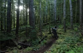 Una persona conduce una bicicleta de montaña Santa Cruz Vala AL con cuadro de aluminio por un estrecho sendero de tierra a través de un bosque denso y verde con árboles altos y luz solar filtrada.