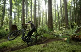 Una persona con casco realiza un caballito en una bicicleta de montaña Santa Cruz Vala AL por un sendero cubierto de musgo en un bosque denso e iluminado por el sol, capturando el espíritu del aluminio en cada movimiento.