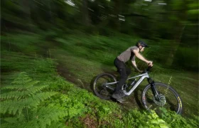 Una persona con casco monta en una bicicleta de montaña Santa Cruz Vala AL, fabricada en aluminio ligero, por un estrecho sendero en un frondoso y verde bosque.