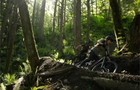 Dos ciclistas montan en bicicletas de montaña Santa Cruz Vala AL por un sendero de tierra a través de un bosque denso e iluminado por el sol, con helechos y árboles altos, disfrutando de la durabilidad de los cuadros de aluminio.