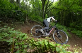 Una persona conduce una bicicleta de montaña Santa Cruz Vala AL con cuadro de aluminio por una curva de un sendero de tierra en un bosque denso y verde.