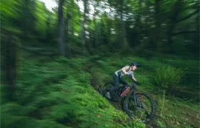 Una persona con casco conduce rápidamente una bicicleta de montaña Santa Cruz Vala AL con cuadro de aluminio a través de un frondoso y verde bosque, con movimiento borroso al fondo.