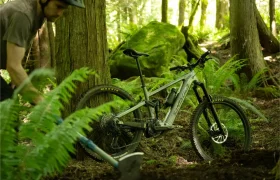 A Santa Cruz Vala AL bicicleta de aluminio descansa contra un árbol en el bosque mientras una persona con casco y pala trabaja entre los helechos.