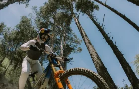 Un ciclista de montaña, con un casco integral POC Barocon Carbon, desciende por un sendero de tierra que atraviesa un bosque de árboles altos bajo un cielo azul y despejado.