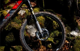 Primer plano de una rueda delantera de bicicleta de montaña Rotwild R.EXC con horquilla de suspensión FOX, lista para competir, aparcada contra rocas musgosas y árboles en un sereno entorno forestal.
