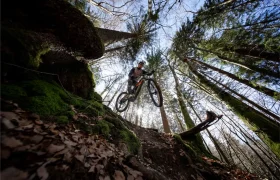 Una persona montada en una bicicleta de montaña Rotwild R.EXC compite desde un pequeño desnivel en un bosque, rodeada de altos árboles y la luz del sol filtrándose entre las ramas.