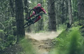 RockShox BoXXer 2024
