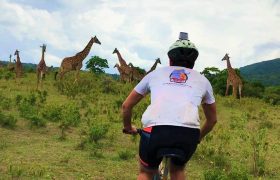 SAFARI BIKE