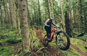 Una persona que lleva casco conduce una bicicleta de montaña roja con cambios mecánicos SRAM Eagle en un sendero a través de un denso bosque verde.