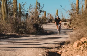 Un ciclista en una bicicleta LOOK recorre un camino de grava a través de un paisaje desértico, sorteando cactus y arbustos bajo un cielo azul despejado, inmerso en el ecosistema de pedales Gravel.