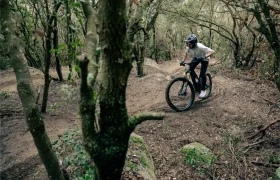 Una persona que lleva casco conduce una bicicleta de montaña UNNO MITH por un sendero de tierra accidentado que atraviesa un bosque denso.