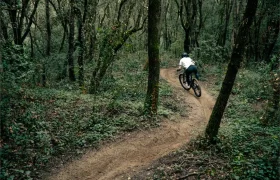 Una persona conduce hábilmente una bicicleta de montaña UNNO MITH a lo largo de un estrecho sendero de tierra que serpentea a través de un bosque denso y verde.
