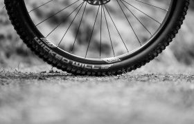 Schwalbe Wicked Will