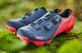XXX_MTB_primary_Features1