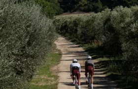 Dos ciclistas recorren un camino de tierra rodeado de densos árboles y arbustos verdes bajo un cielo despejado, experimentando el confort inteligente con el ASSOS MILLE GT S11-una verdadera evolución real en equipamiento ciclista.