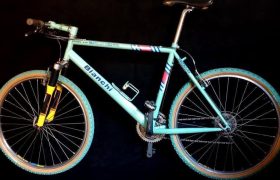 bianchi_lateral