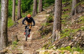 Una persona con casco conduce una bicicleta de montaña por un estrecho sendero de tierra a través de la boscosa Bike Region Glacensis, zigzagueando entre altos árboles y rocas dispersas.