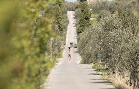 carretera_vertical