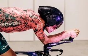 casco-poc-procen-13