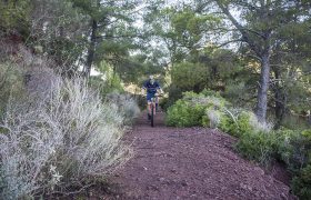 castellon_sendero